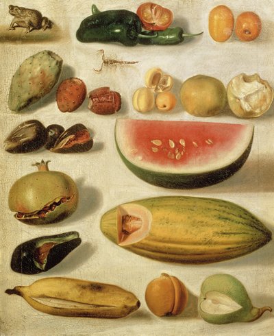 Still Life with Fruit (with Scorpion and Frog) by Hermenegildo Bustos